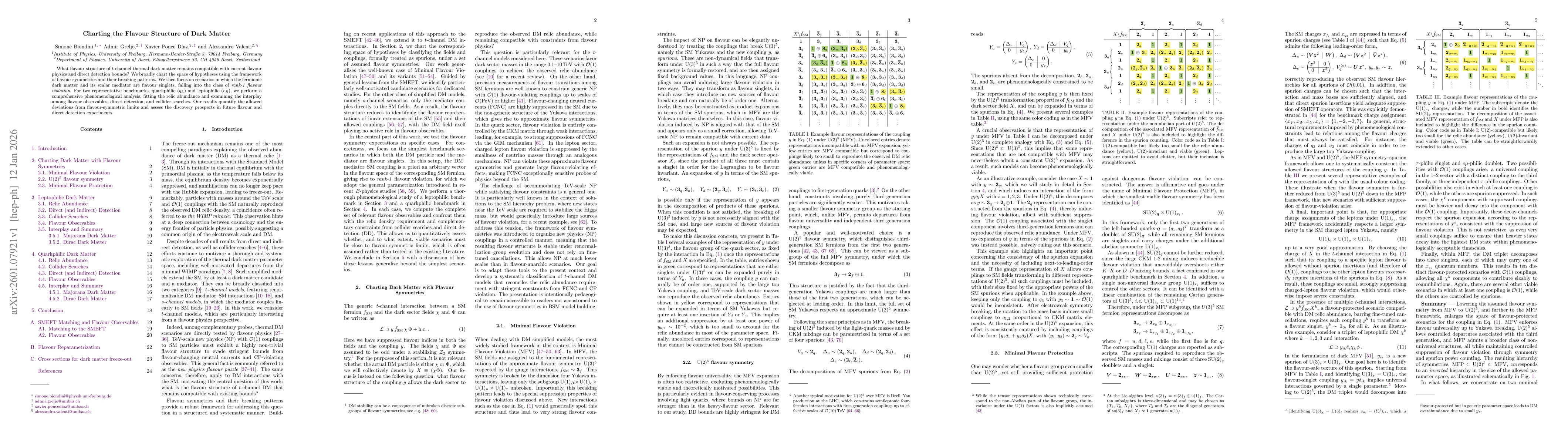 Thumbnail for Charting the Flavour Structure of Dark Matter