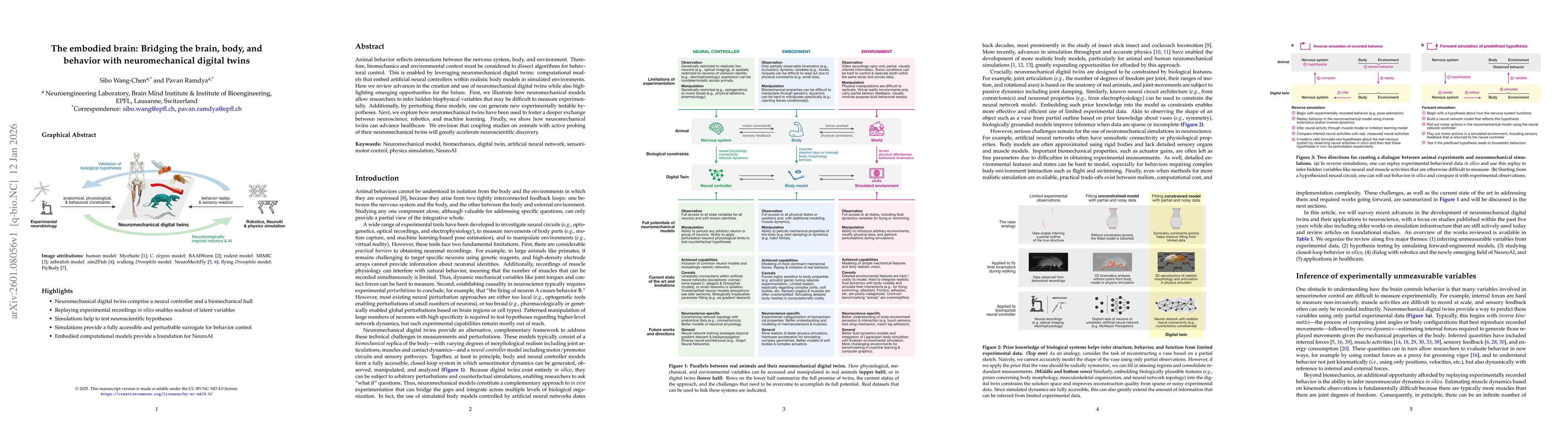 Thumbnail for The embodied brain: Bridging the brain, body, and behavior with neuromechanical digital twins