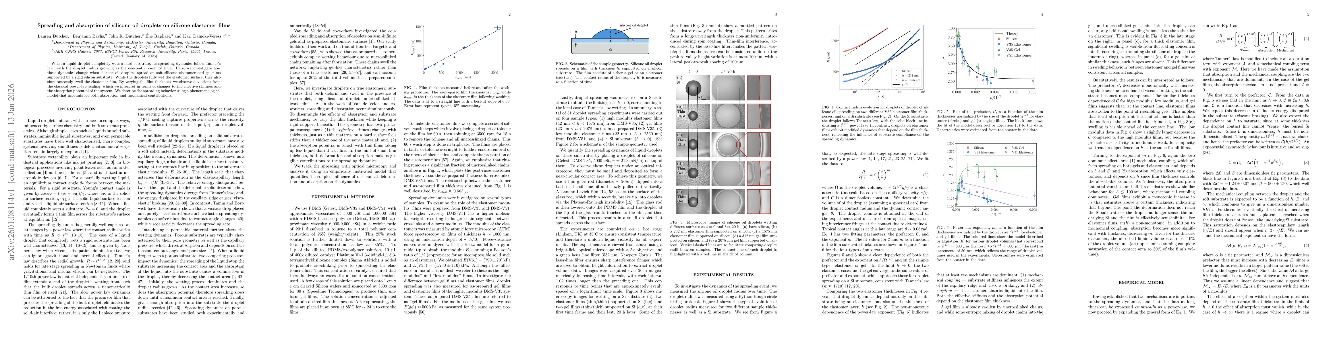 Thumbnail for Spreading and absorption of silicone oil droplets on silicone elastomer films