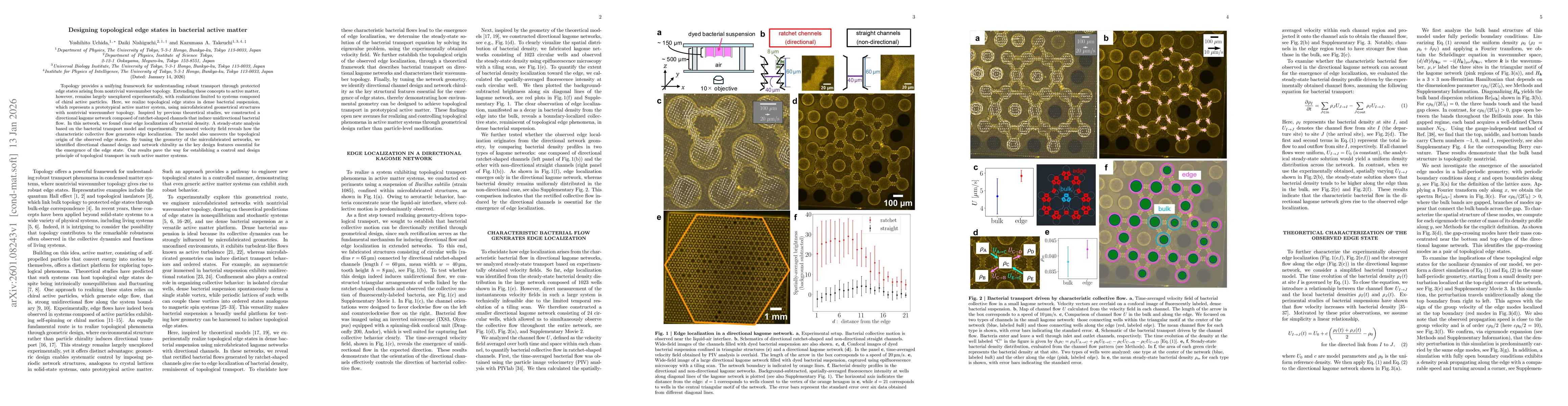 Thumbnail for Designing topological edge states in bacterial active matter