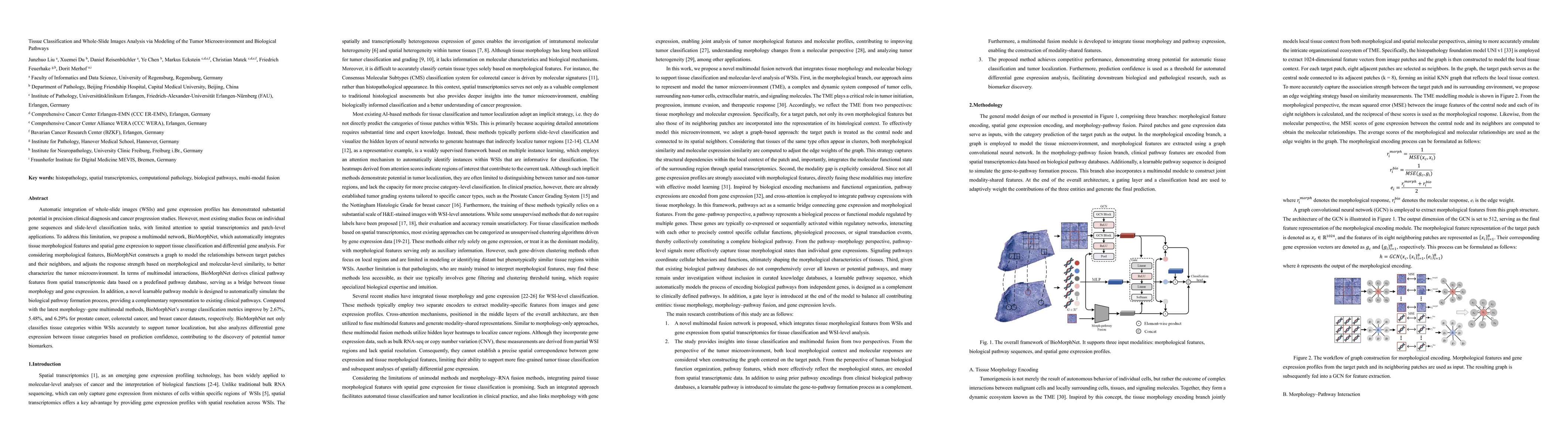 Thumbnail for Tissue Classification and Whole-Slide Images Analysis via Modeling of the Tumor Microenvironment and Biological Pathways