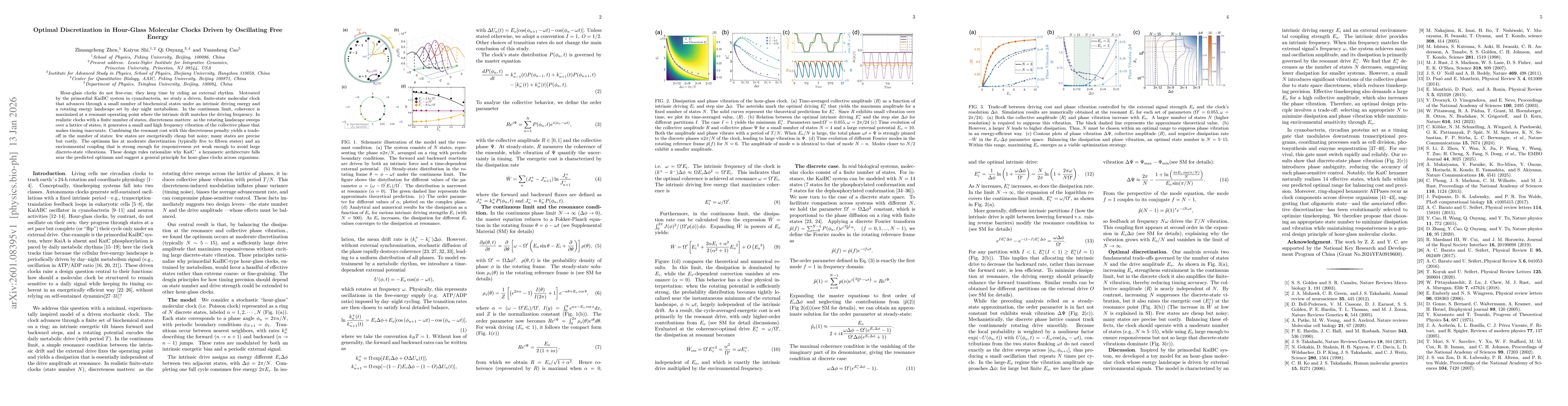 Thumbnail for Optimal Discretization in Hour-Glass Molecular Clocks Driven by Oscillating Free Energy