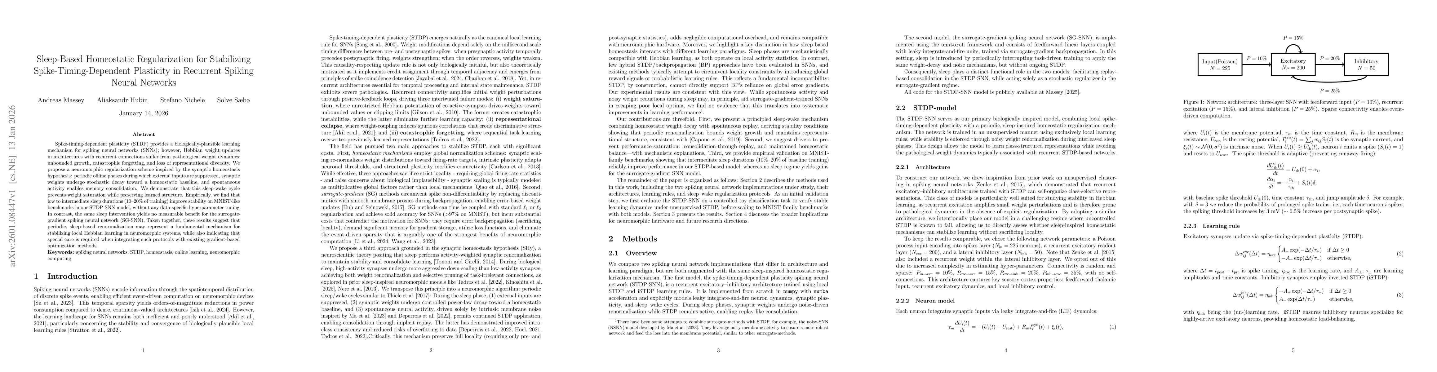 Thumbnail for Sleep-Based Homeostatic Regularization for Stabilizing Spike-Timing-Dependent Plasticity in Recurrent Spiking Neural Networks