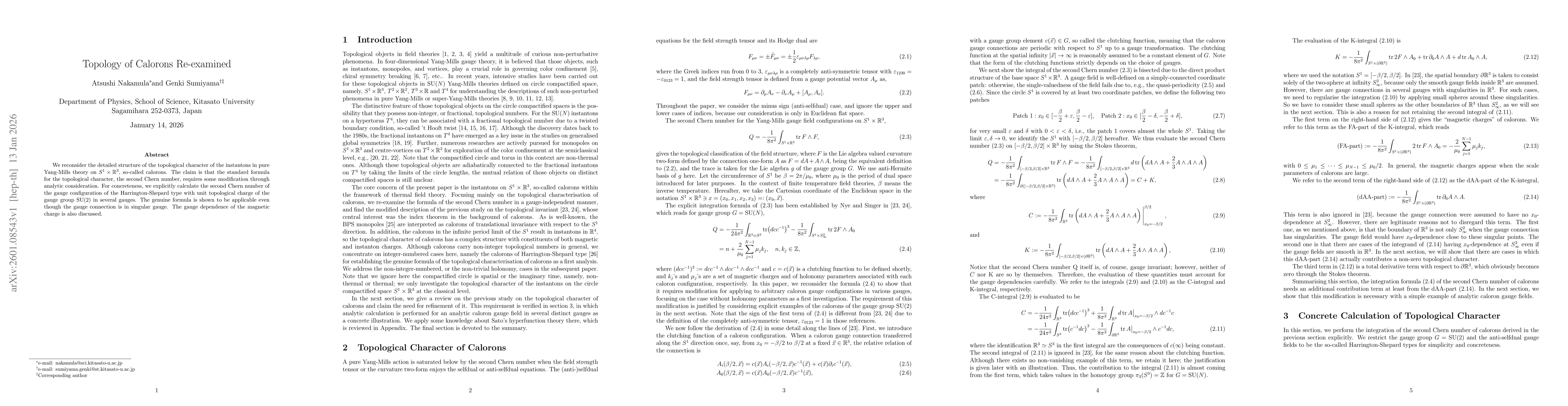 Thumbnail for Topology of Calorons Re-examined