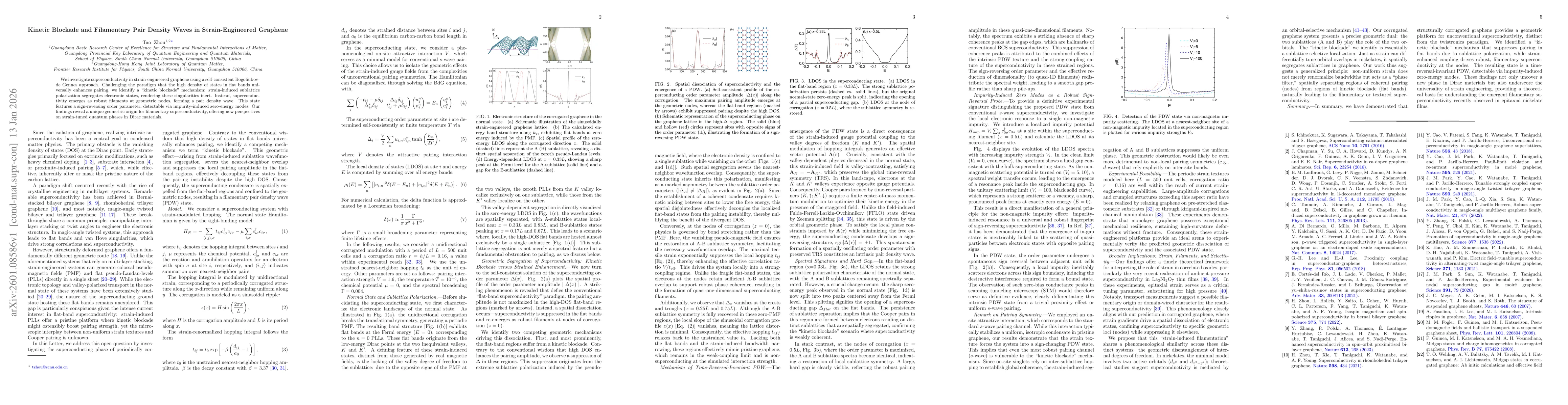Thumbnail for Kinetic Blockade and Filamentary Pair Density Waves in Strain-Engineered Graphene