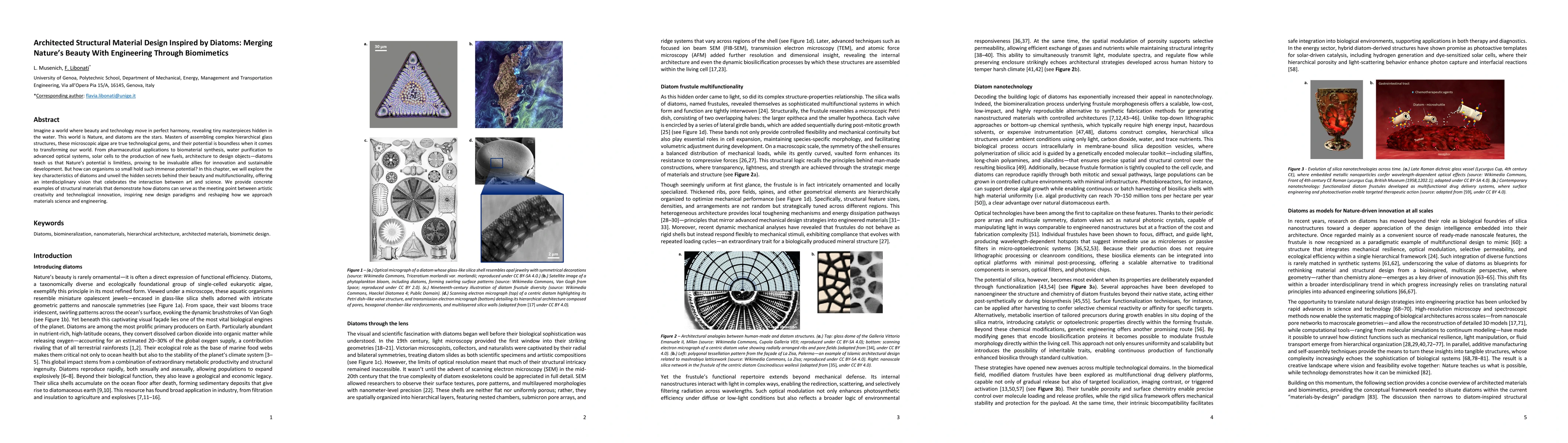 Thumbnail for Architected Structural Material Design Inspired by Diatoms: Merging Nature's Beauty With Engineering Through Biomimetics