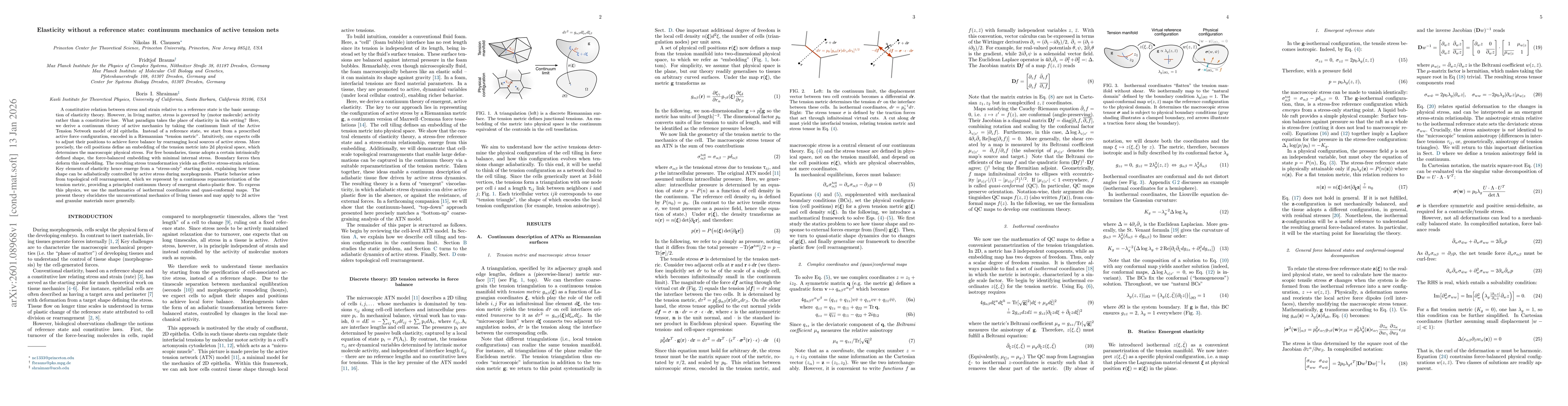 Thumbnail for Elasticity without a reference state: continuum mechanics of active tension nets