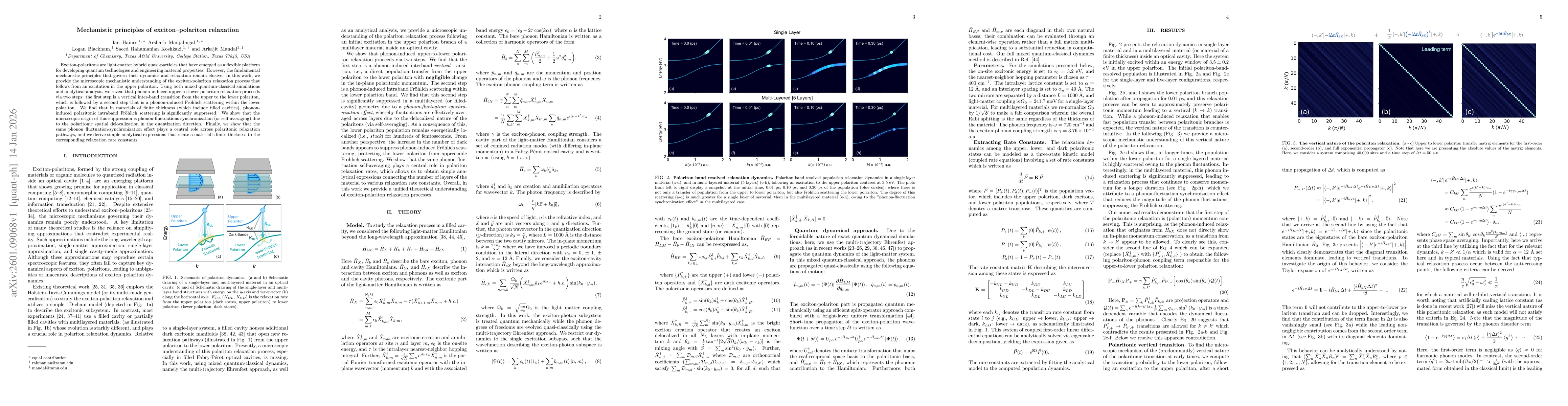 Thumbnail for Mechanistic principles of exciton-polariton relaxation