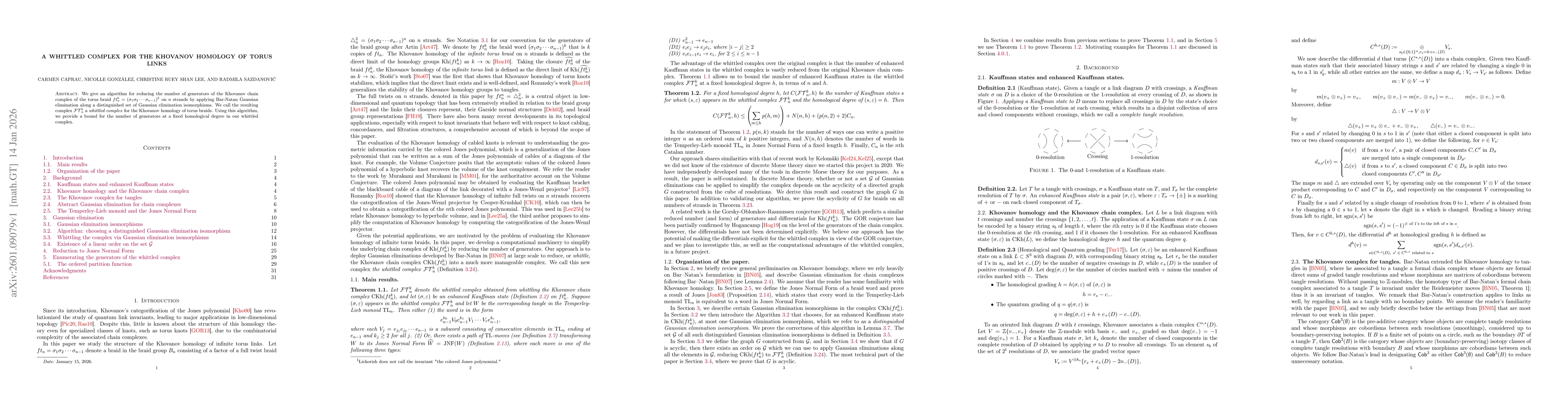 Thumbnail for A whittled complex for the Khovanov homology of torus links