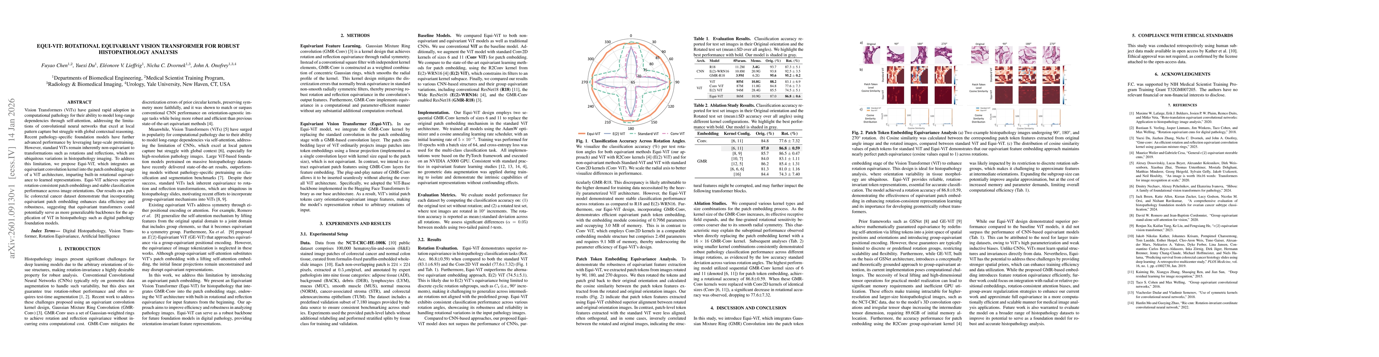 Thumbnail for Equi-ViT: Rotational Equivariant Vision Transformer for Robust Histopathology Analysis