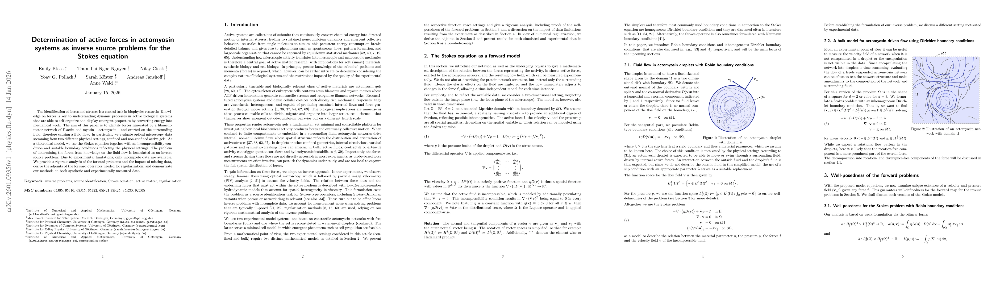 Thumbnail for Determination of active forces in actomyosin systems as inverse source problems for the Stokes equation