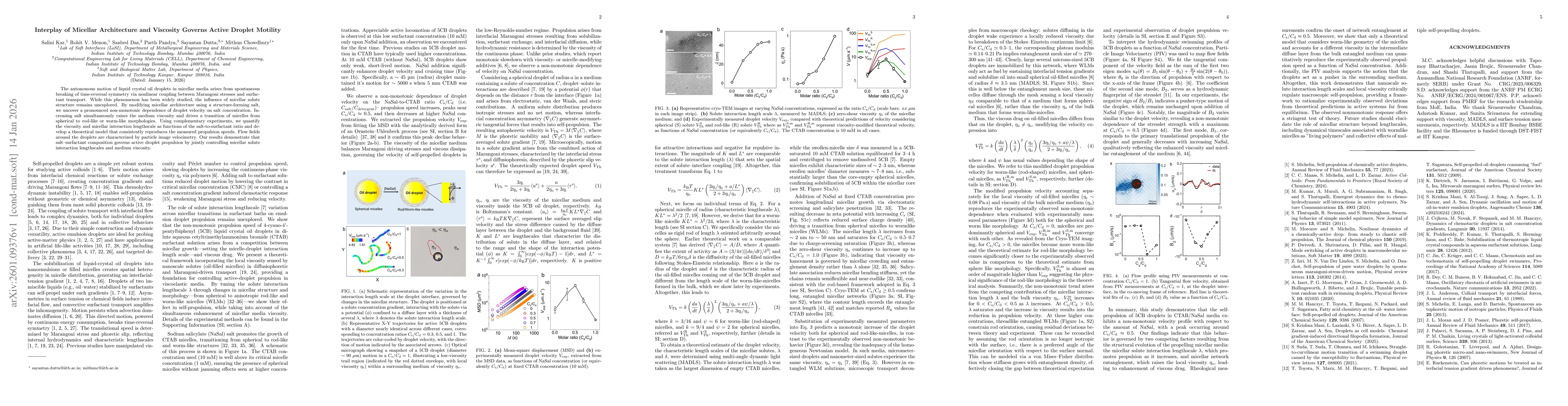 Thumbnail for Interplay of Micellar Architecture and Viscosity Governs Active Droplet Motility