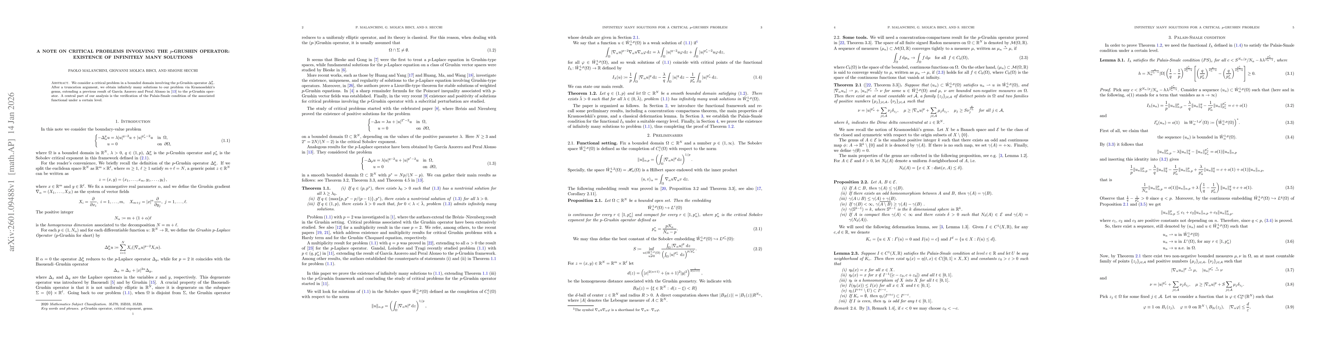 Thumbnail for A note on critical problems involving the $p$-Grushin Operator: existence of infinitely many solutions