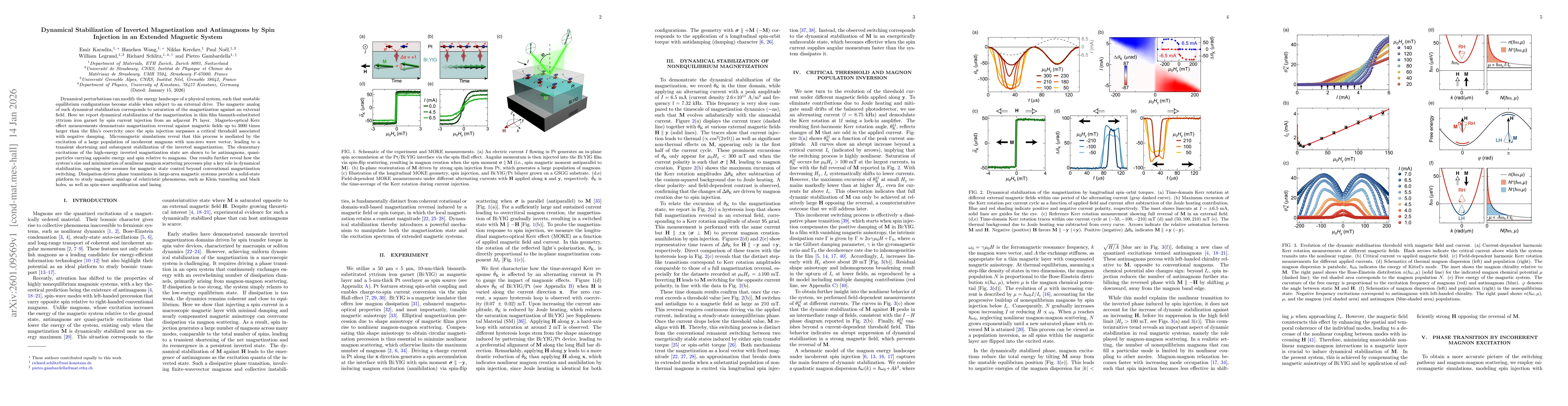 Thumbnail for Dynamical Stabilization of Inverted Magnetization and Antimagnons by Spin Injection in an Extended Magnetic System
