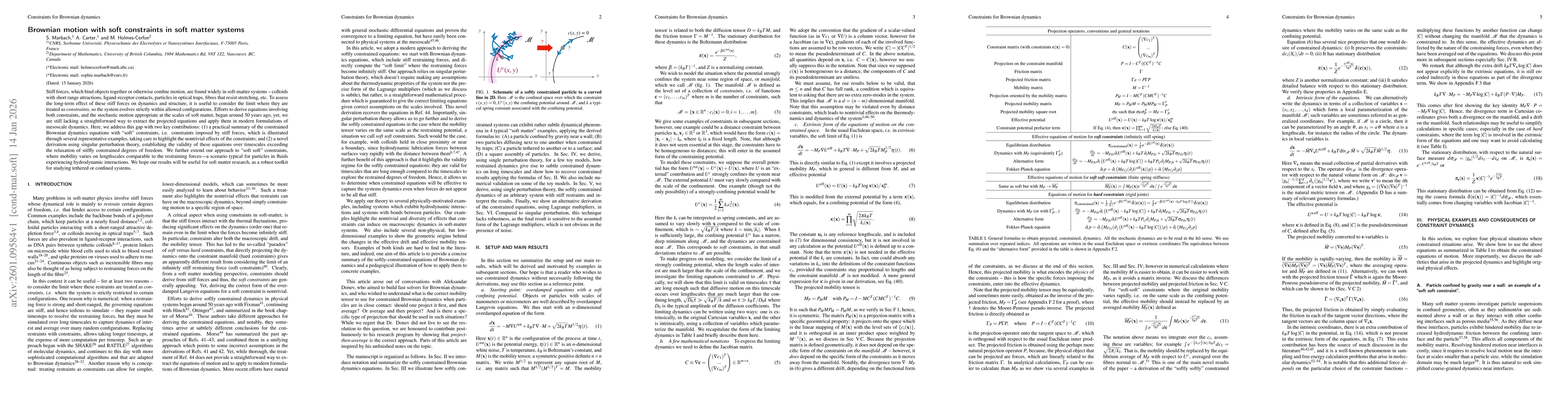 Thumbnail for Brownian motion with soft constraints in soft matter systems