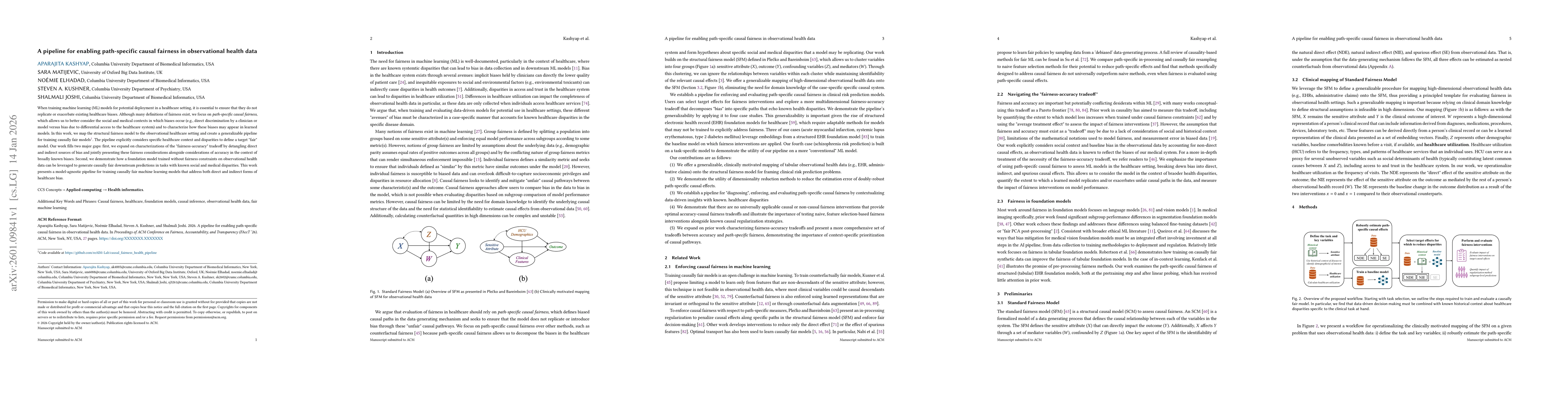 Thumbnail for A pipeline for enabling path-specific causal fairness in observational health data