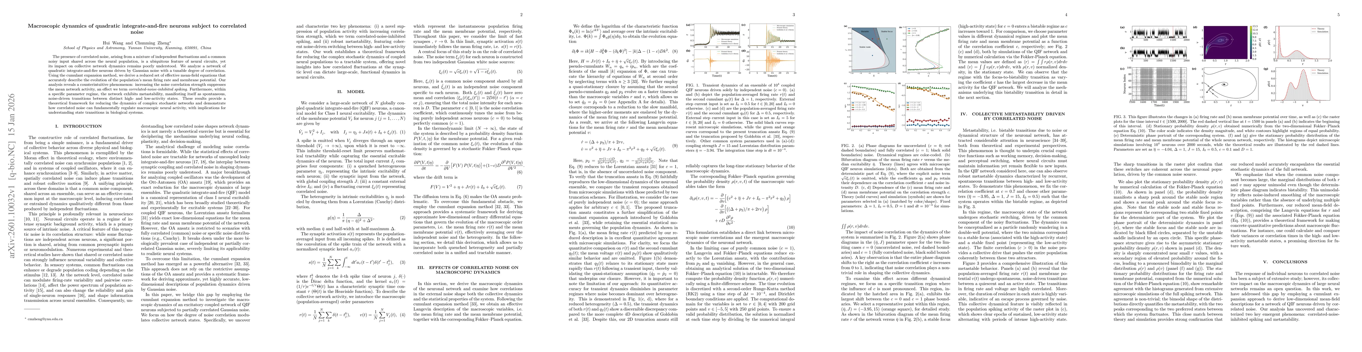 Thumbnail for Macroscopic dynamics of quadratic integrate-and-fire neurons subject to correlated noise