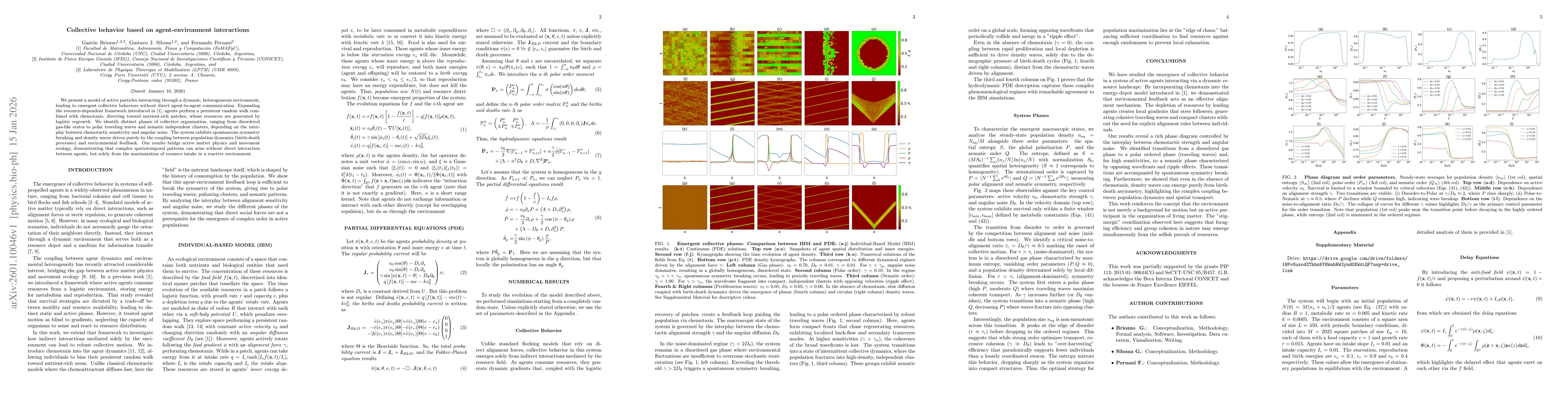 Thumbnail for Collective behavior based on agent-environment interactions