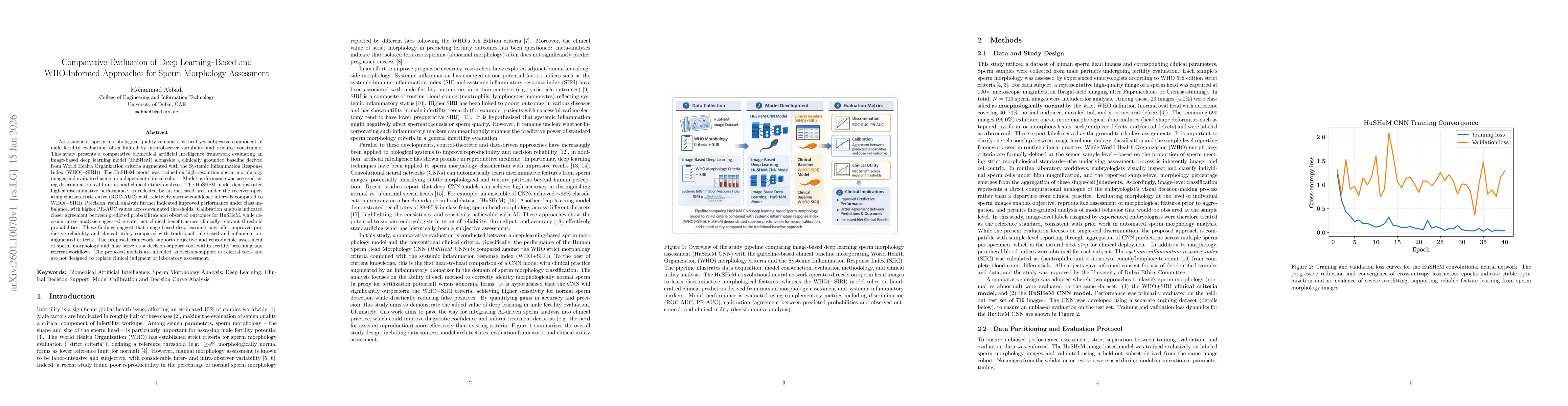 Thumbnail for Comparative Evaluation of Deep Learning-Based and WHO-Informed Approaches for Sperm Morphology Assessment