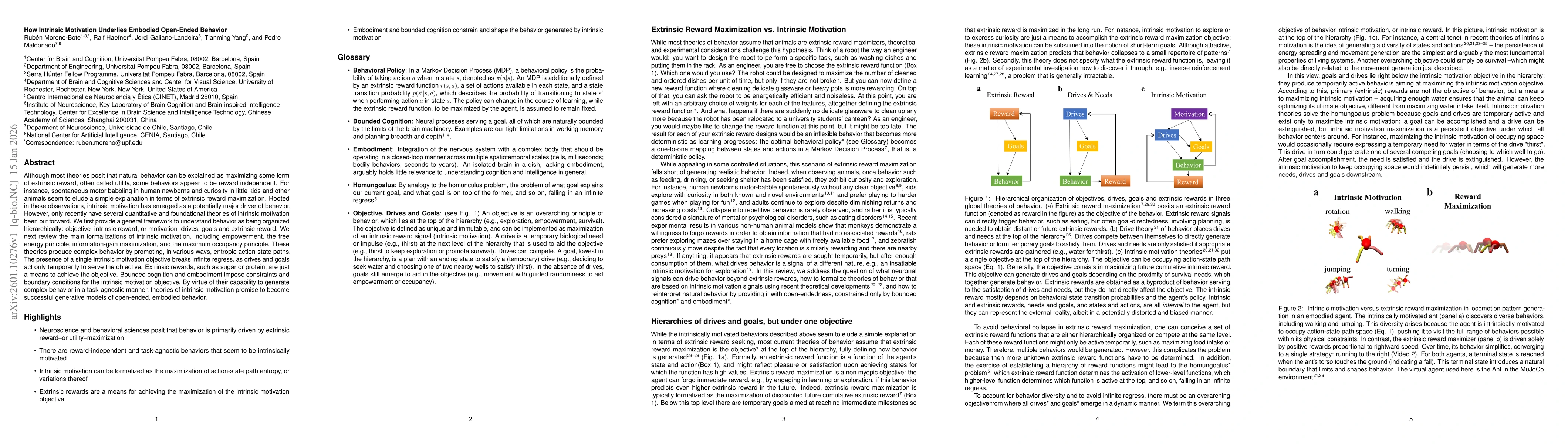 Thumbnail for How Intrinsic Motivation Underlies Embodied Open-Ended Behavior