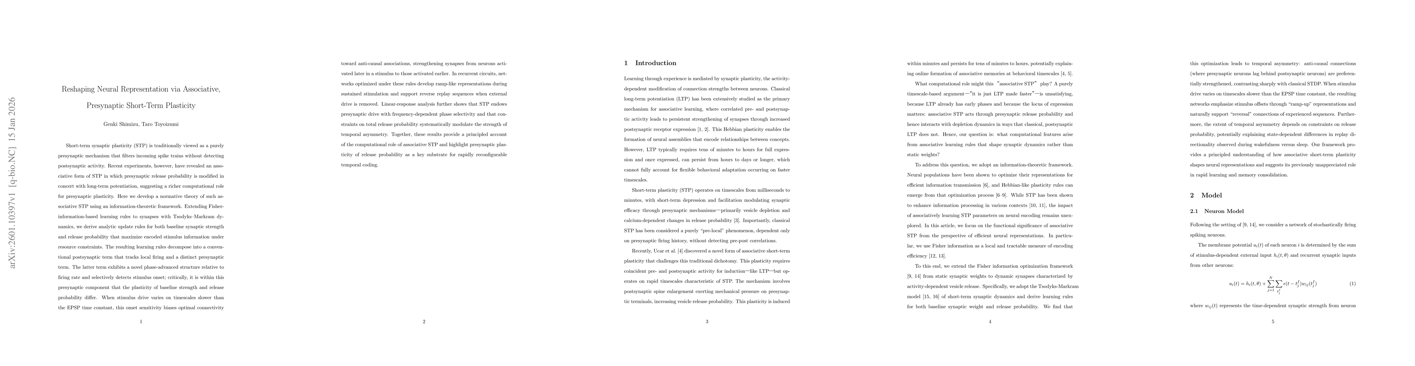 Thumbnail for Reshaping Neural Representation via Associative, Presynaptic Short-Term Plasticity