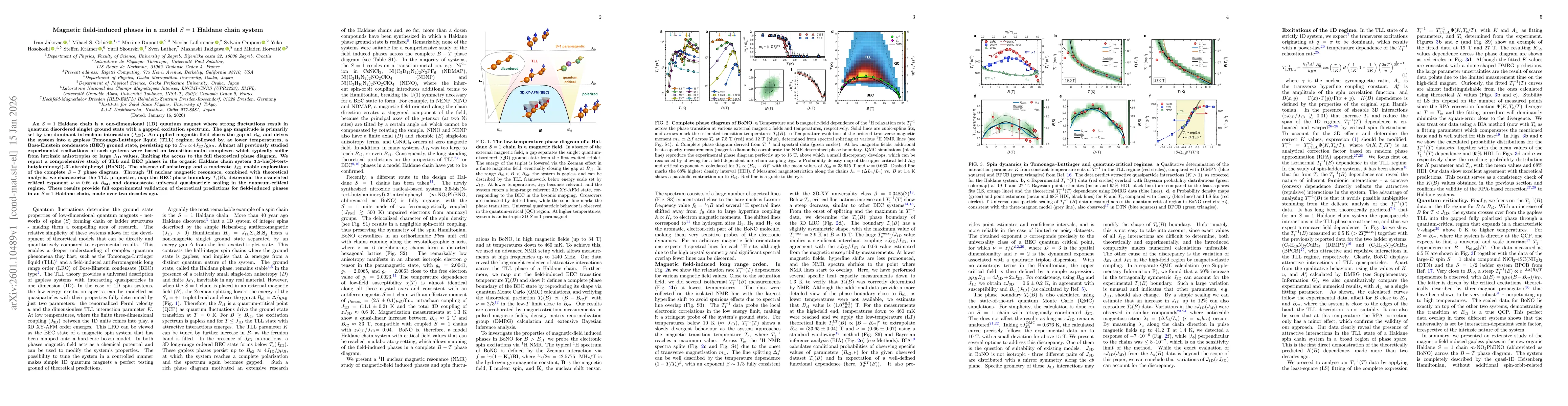 Thumbnail for Magnetic field-induced phases in a model S=1 Haldane chain system