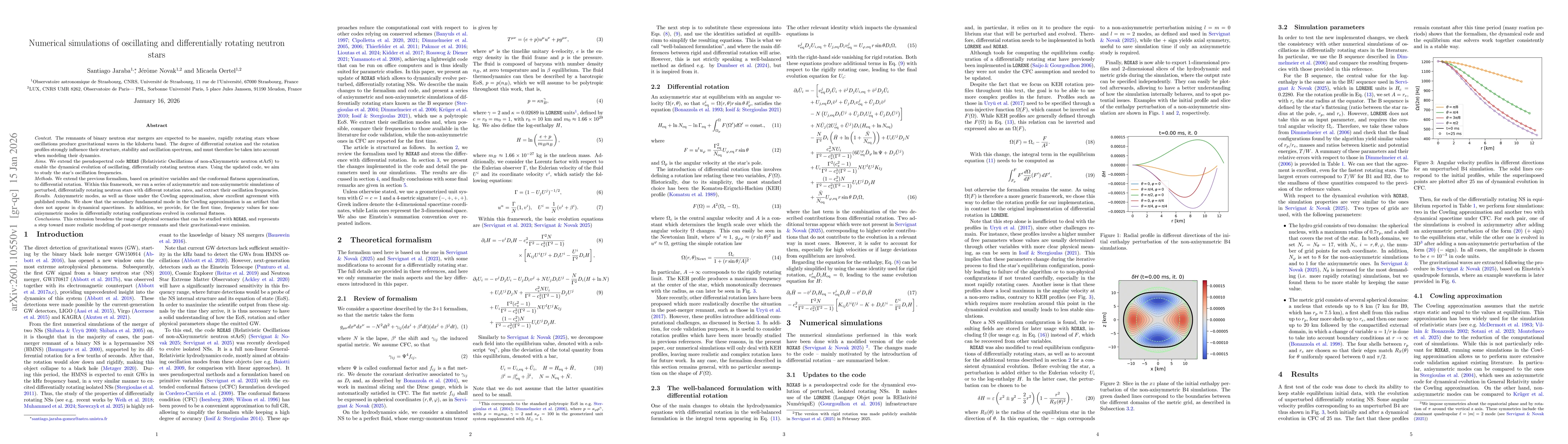 Thumbnail for Numerical simulations of oscillating and differentially rotating neutron stars