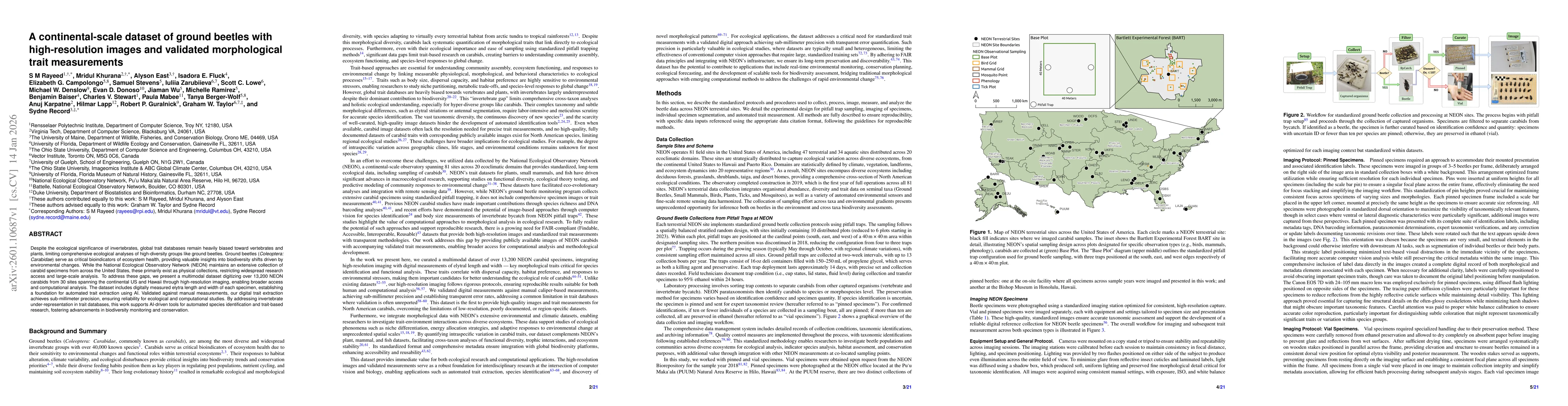 Thumbnail for A continental-scale dataset of ground beetles with high-resolution images and validated morphological trait measurements