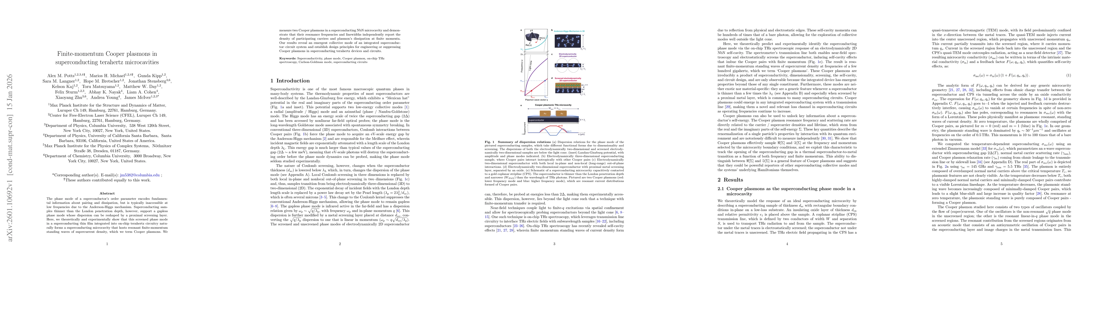 Thumbnail for Finite-momentum Cooper plasmons in superconducting terahertz microcavities