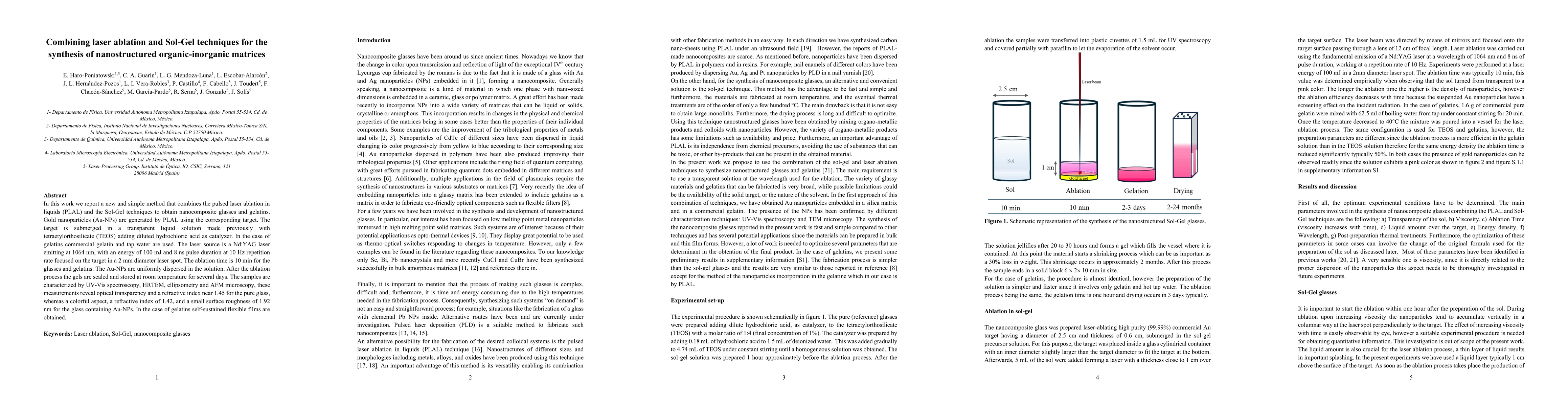 Thumbnail for Combining laser ablation and Sol-Gel techniques for the synthesis of nanostructured organic-inorganic matrices