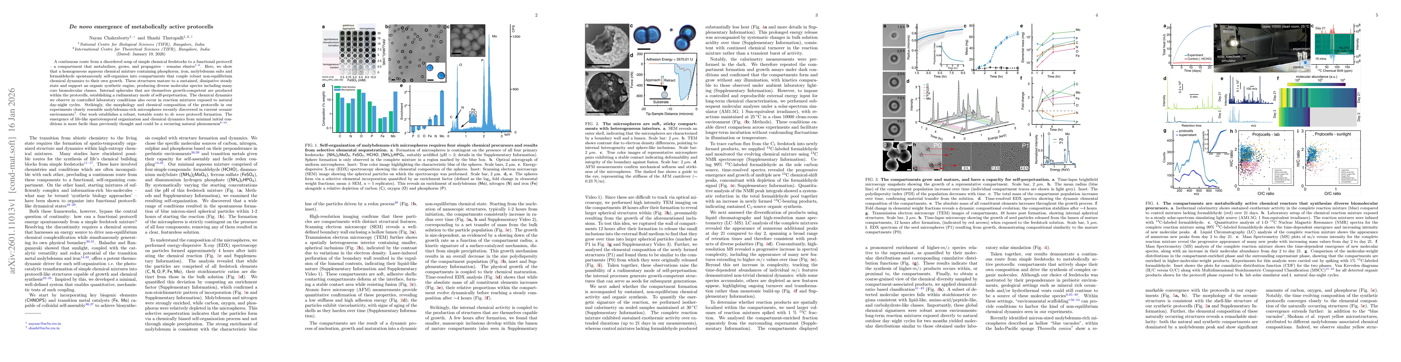 Thumbnail for De novo emergence of metabolically active protocells