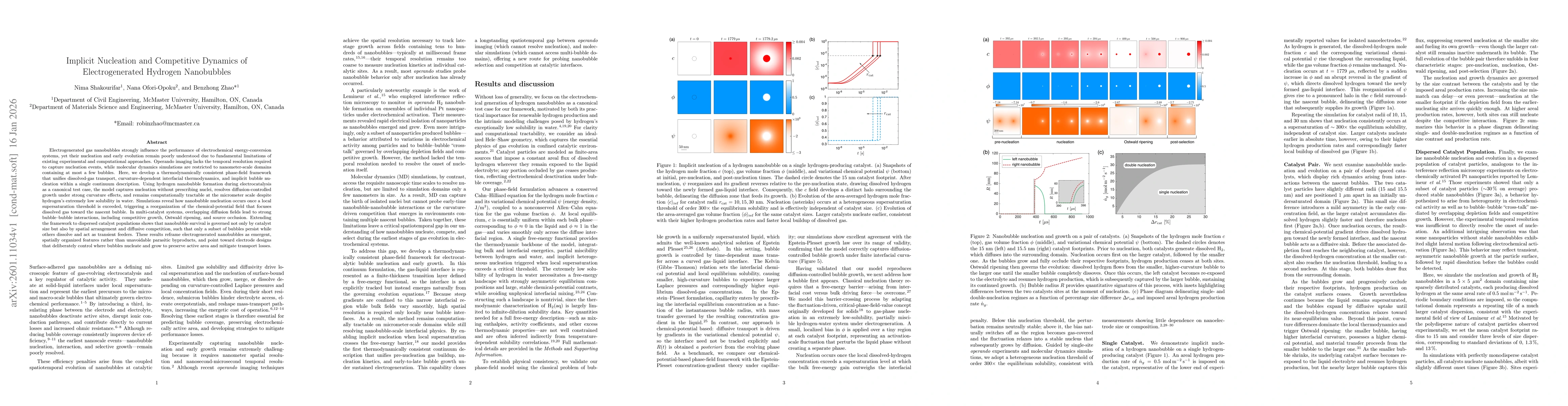 Thumbnail for Implicit Nucleation and Competitive Dynamics of Electrogenerated Hydrogen Nanobubbles