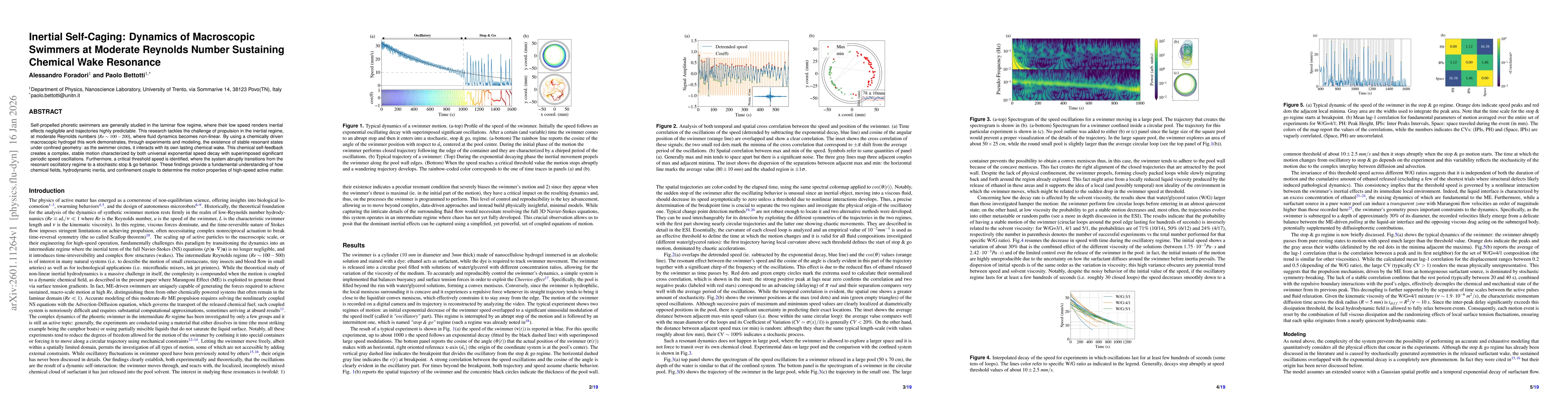 Thumbnail for Inertial Self-Caging: Dynamics of Macroscopic Swimmers at Moderate Reynolds Number Sustaining Chemical Wake Resonance