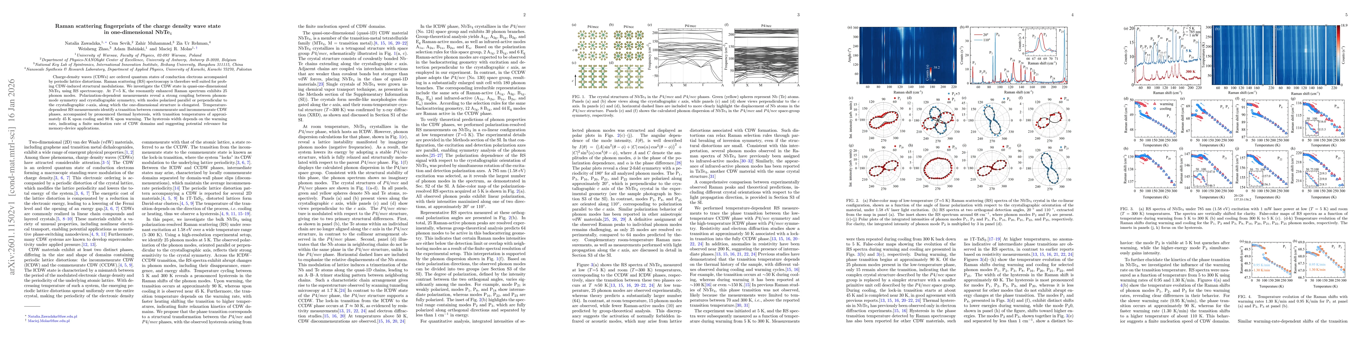 Thumbnail for Raman scattering fingerprints of the charge density wave state in one-dimensional NbTe$_4$