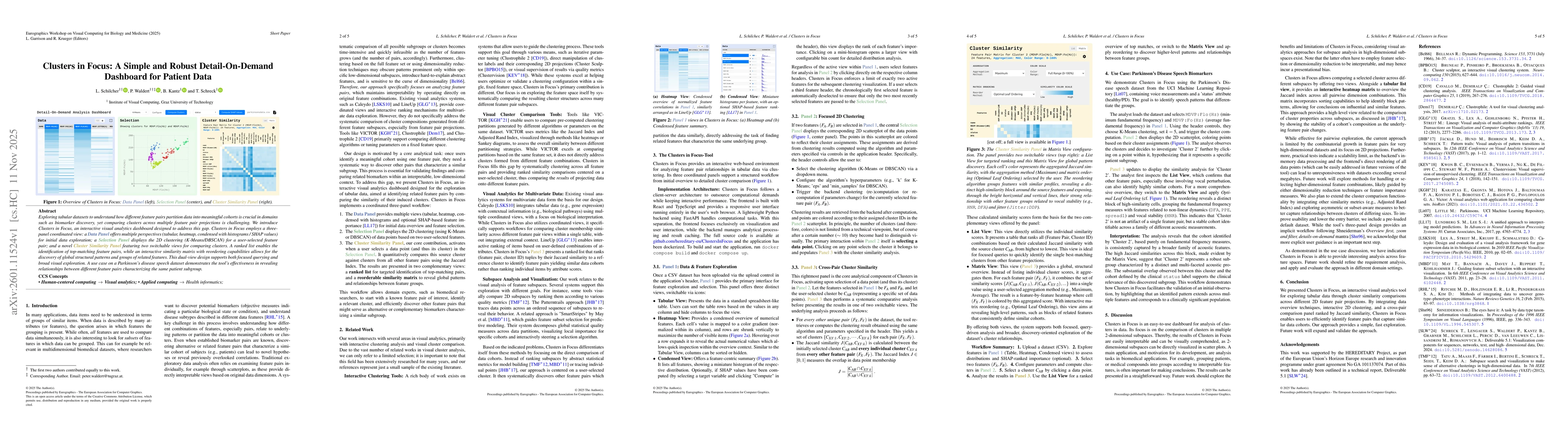 Thumbnail for Clusters in Focus: A Simple and Robust Detail-On-Demand Dashboard for Patient Data