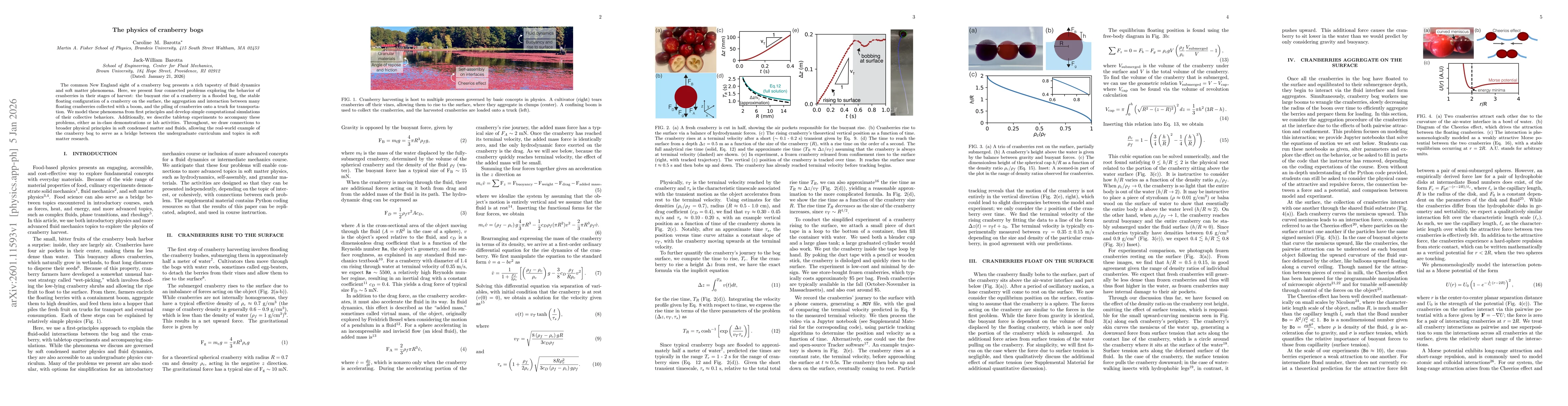 Thumbnail for The physics of cranberry bogs