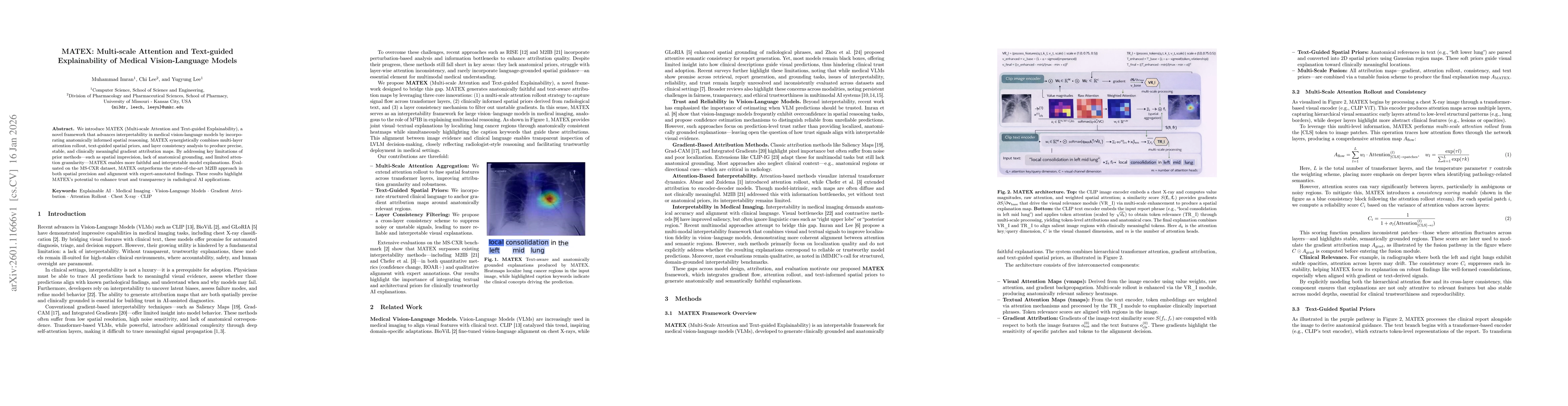 Thumbnail for MATEX: Multi-scale Attention and Text-guided Explainability of Medical Vision-Language Models