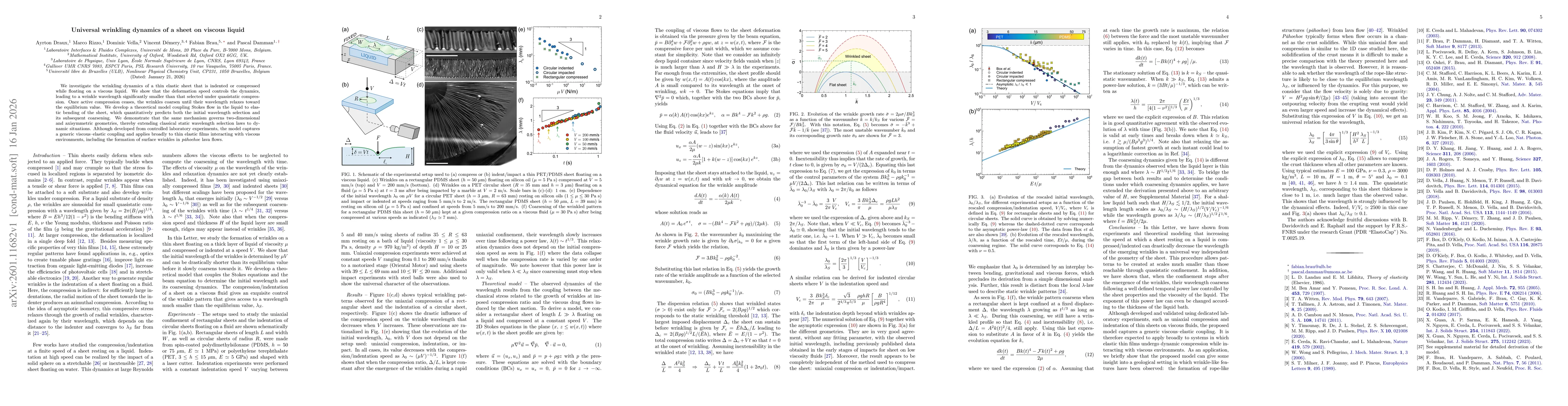 Thumbnail for Universal wrinkling dynamics of a sheet on viscous liquid