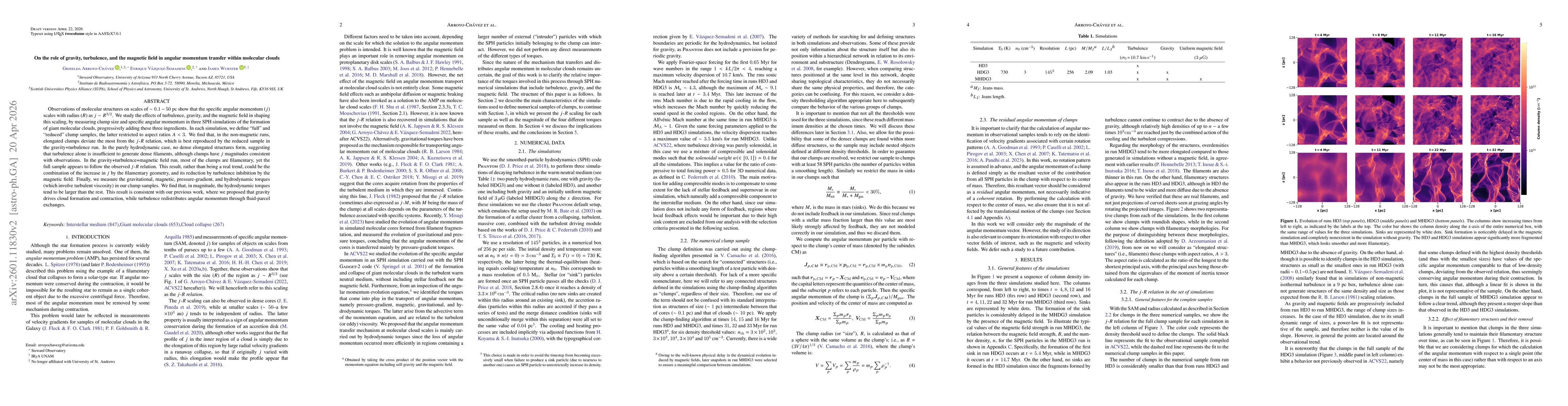 Thumbnail for On the role of gravity, turbulence, and the magnetic field in angular momentum transfer within molecular clouds