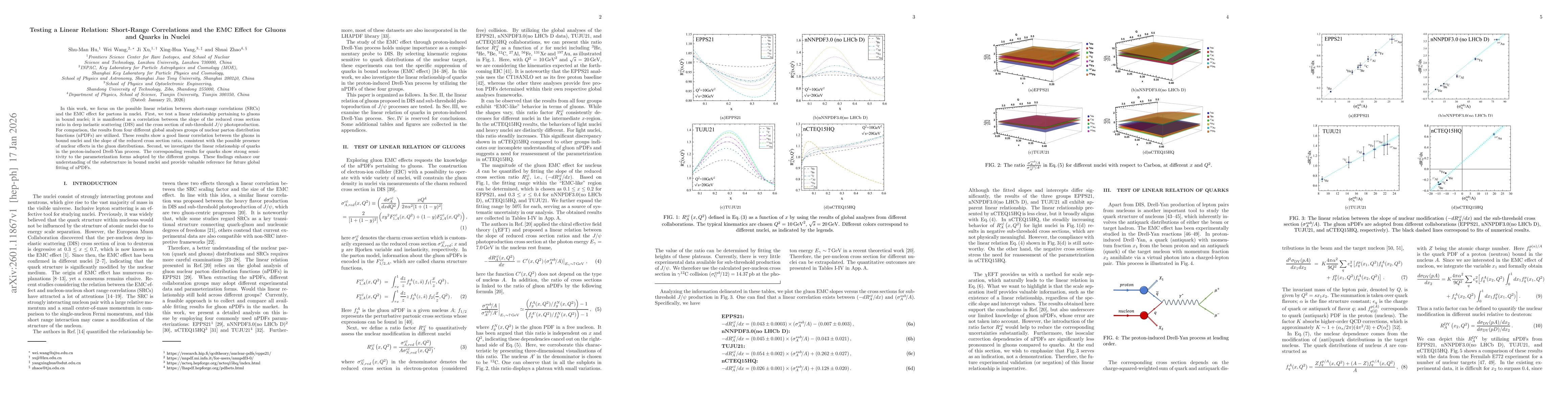 Thumbnail for Testing a Linear Relation: Short-Range Correlations and the EMC Effect for Gluons and Quarks in Nuclei