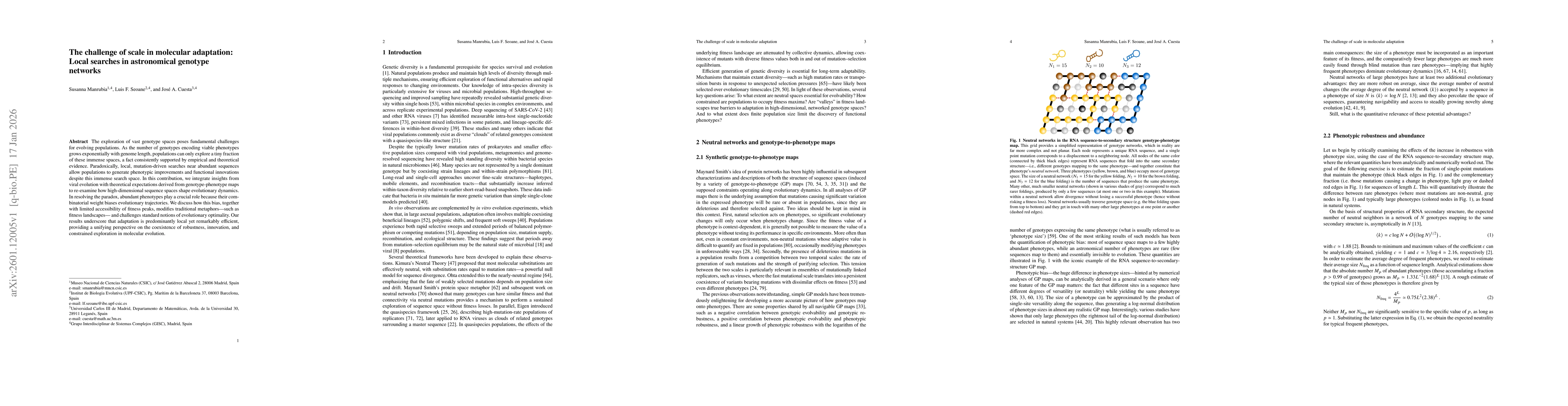 Thumbnail for The challenge of scale in molecular adaptation: Local searches in astronomical genotype networks