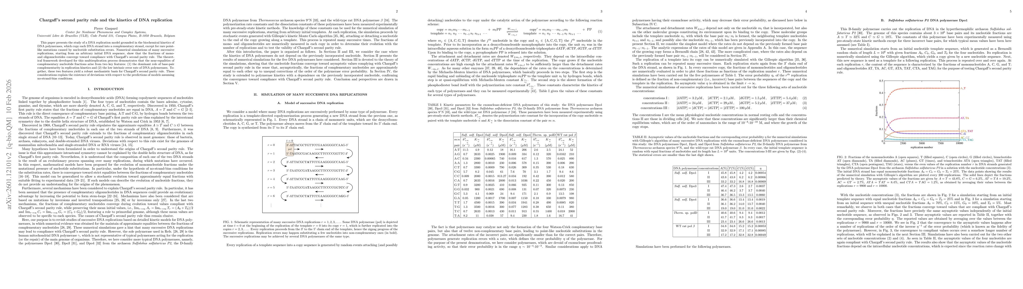 Thumbnail for Chargaff's second parity rule and the kinetics of DNA replication