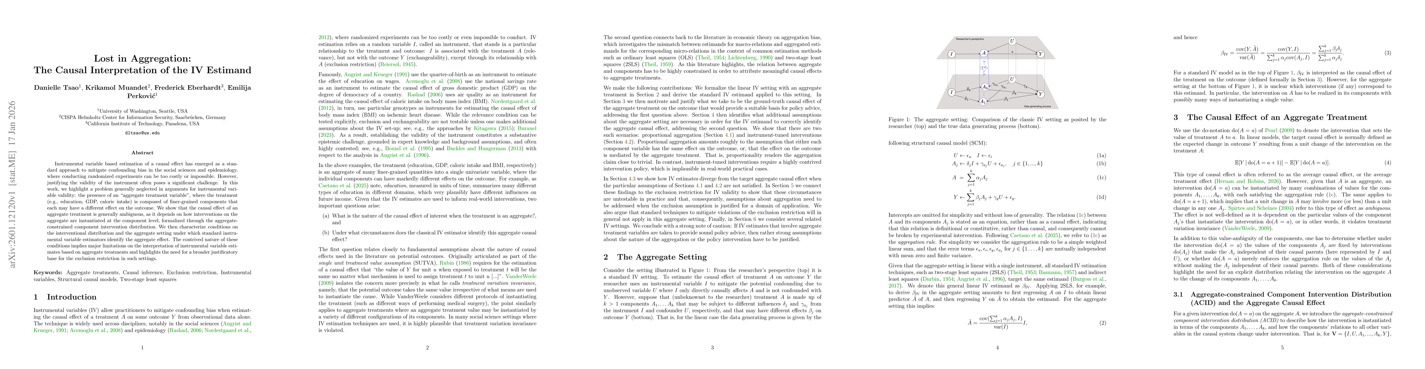 Thumbnail for Lost in Aggregation: The Causal Interpretation of the IV Estimand