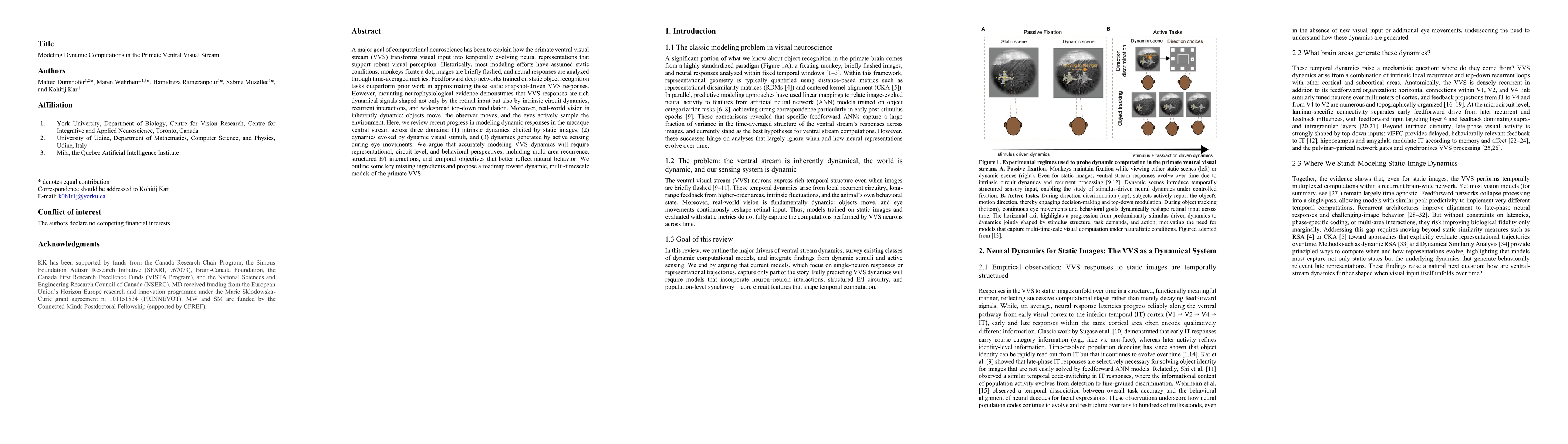 Thumbnail for Modeling Dynamic Computations in the Primate Ventral Visual Stream