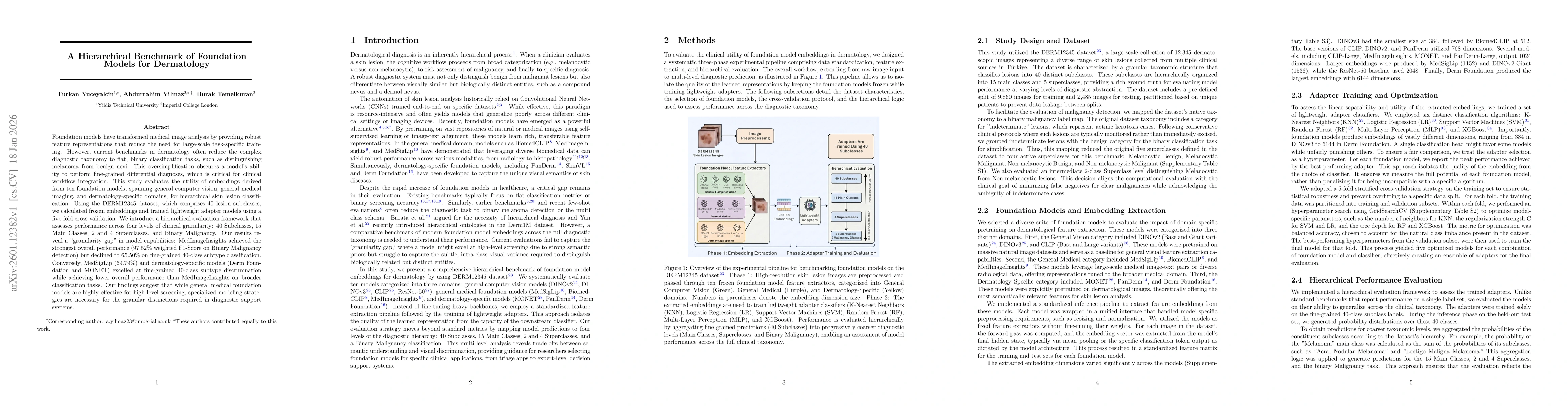 Thumbnail for A Hierarchical Benchmark of Foundation Models for Dermatology