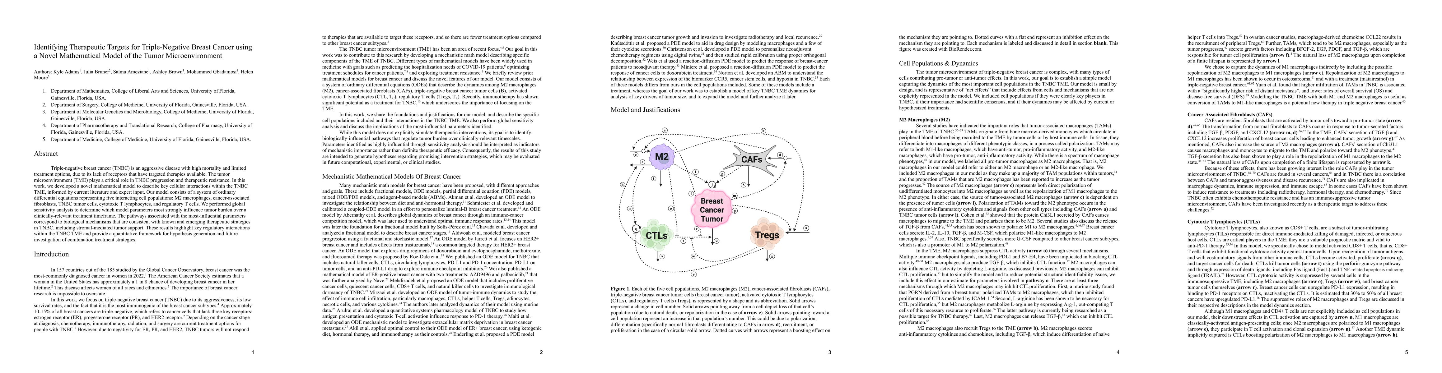 Thumbnail for Identifying Therapeutic Targets for Triple-Negative Breast Cancer using a Novel Mathematical Model of the Tumor Microenvironment