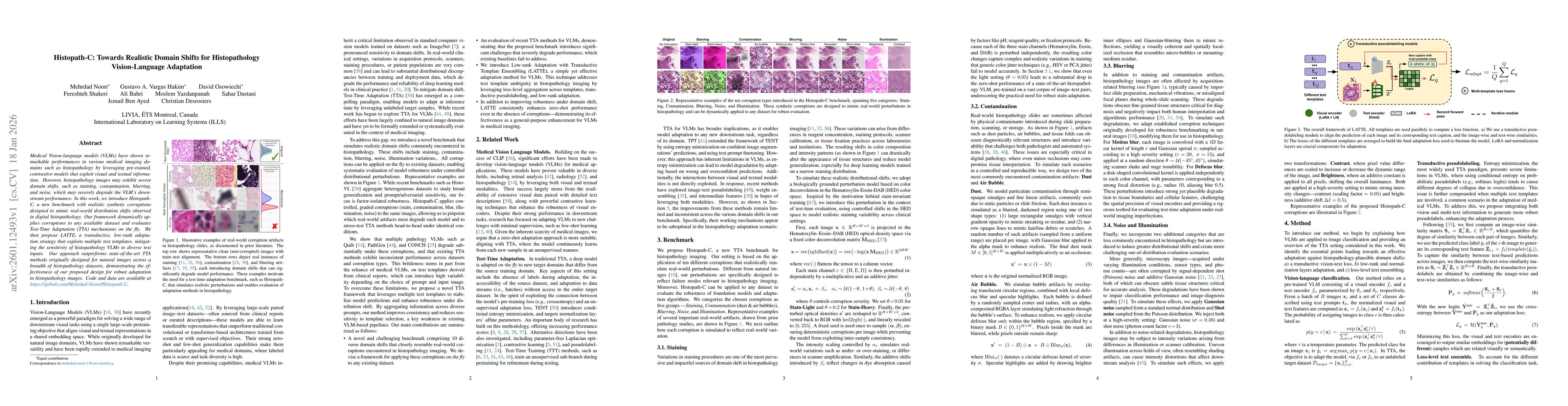Thumbnail for Histopath-C: Towards Realistic Domain Shifts for Histopathology Vision-Language Adaptation