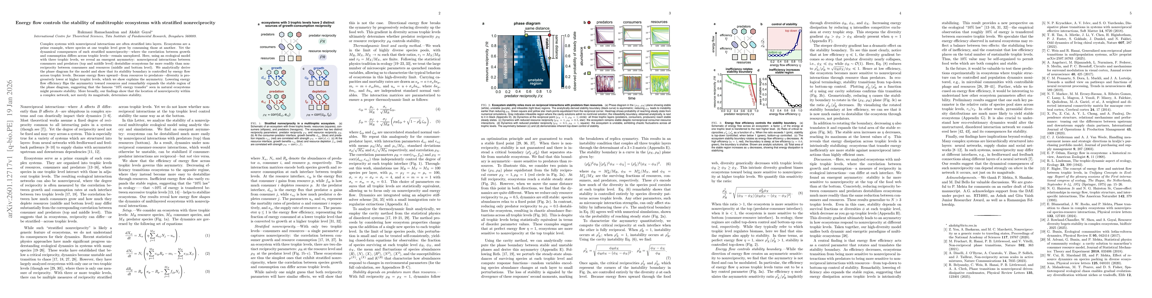Thumbnail for Energy flow controls the stability of multitrophic ecosystems with stratified nonreciprocity