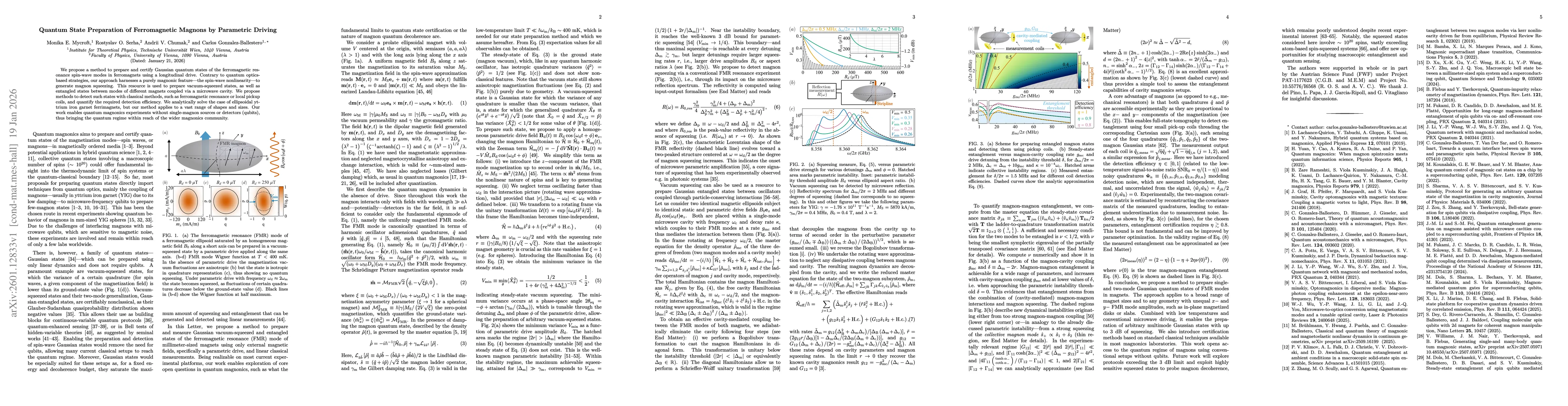 Thumbnail for Quantum State Preparation of Ferromagnetic Magnons by Parametric Driving