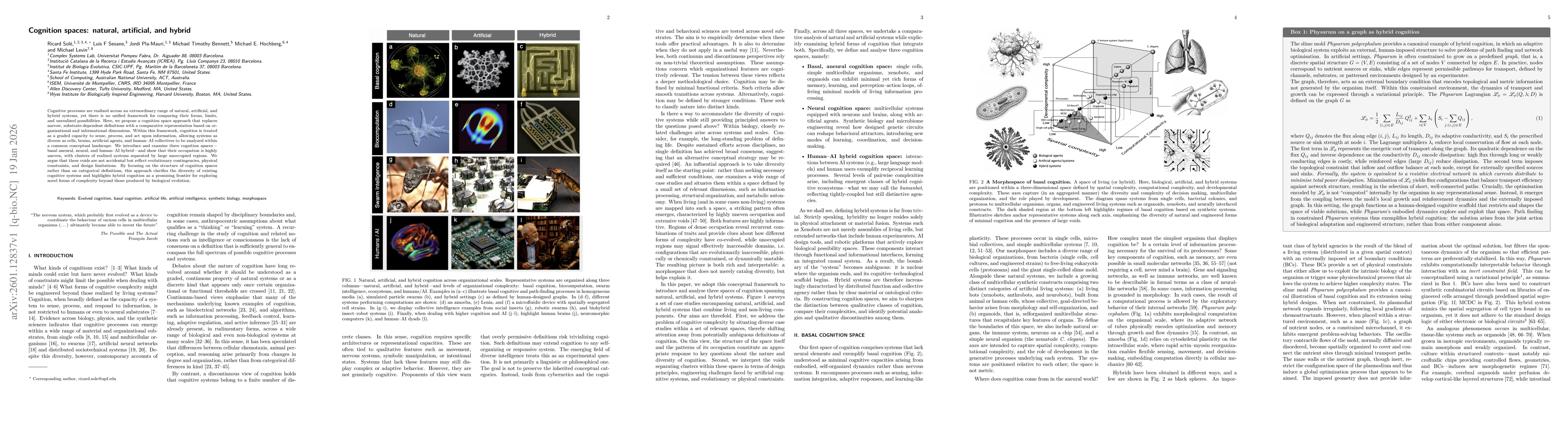 Thumbnail for Cognition spaces: natural, artificial, and hybrid